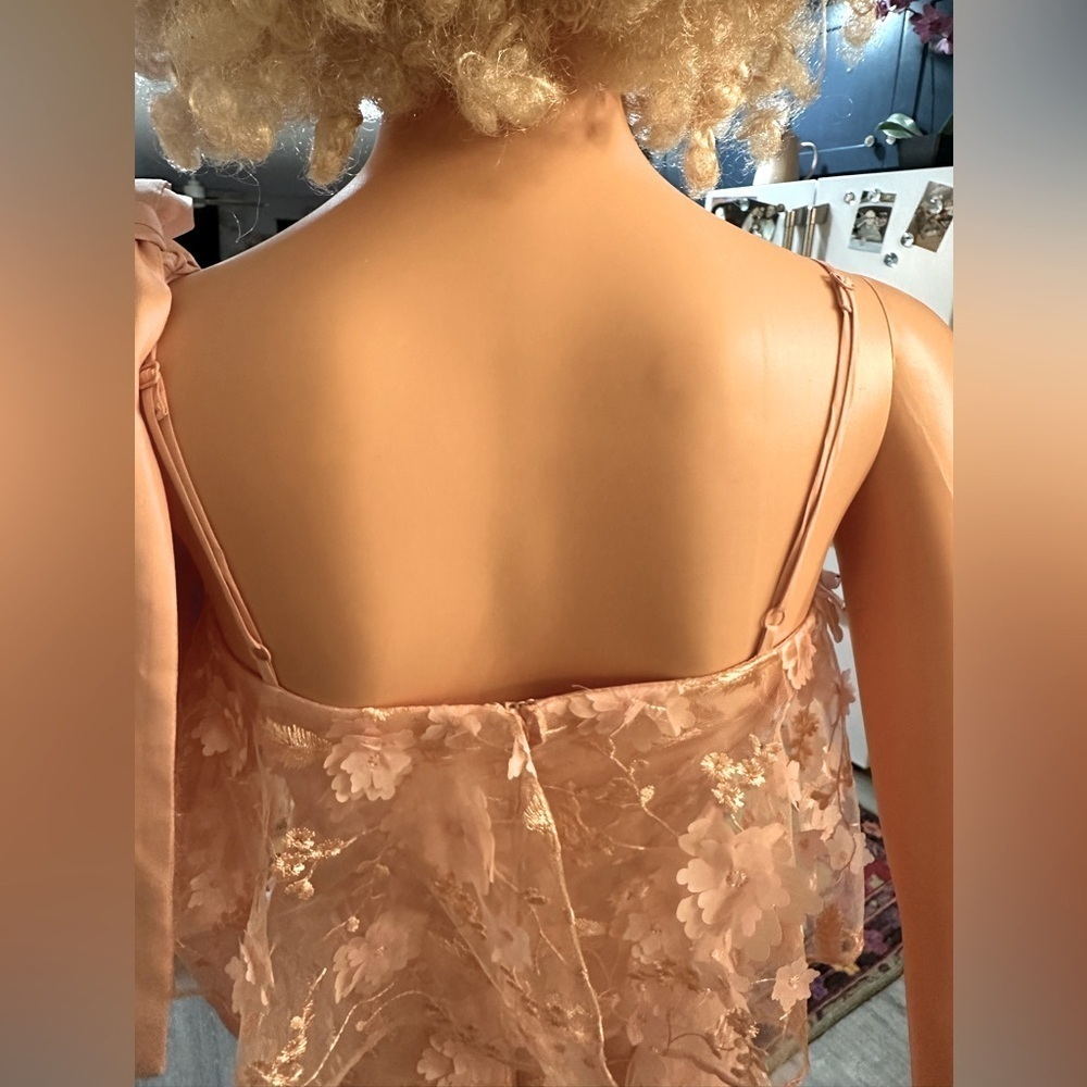 ASOS light pink/nude dainty flower cut out sheer dress sz 4 - NWT - Picture 13 of 16